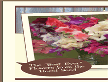 Tablet Screenshot of enchantingsweetpeas.com